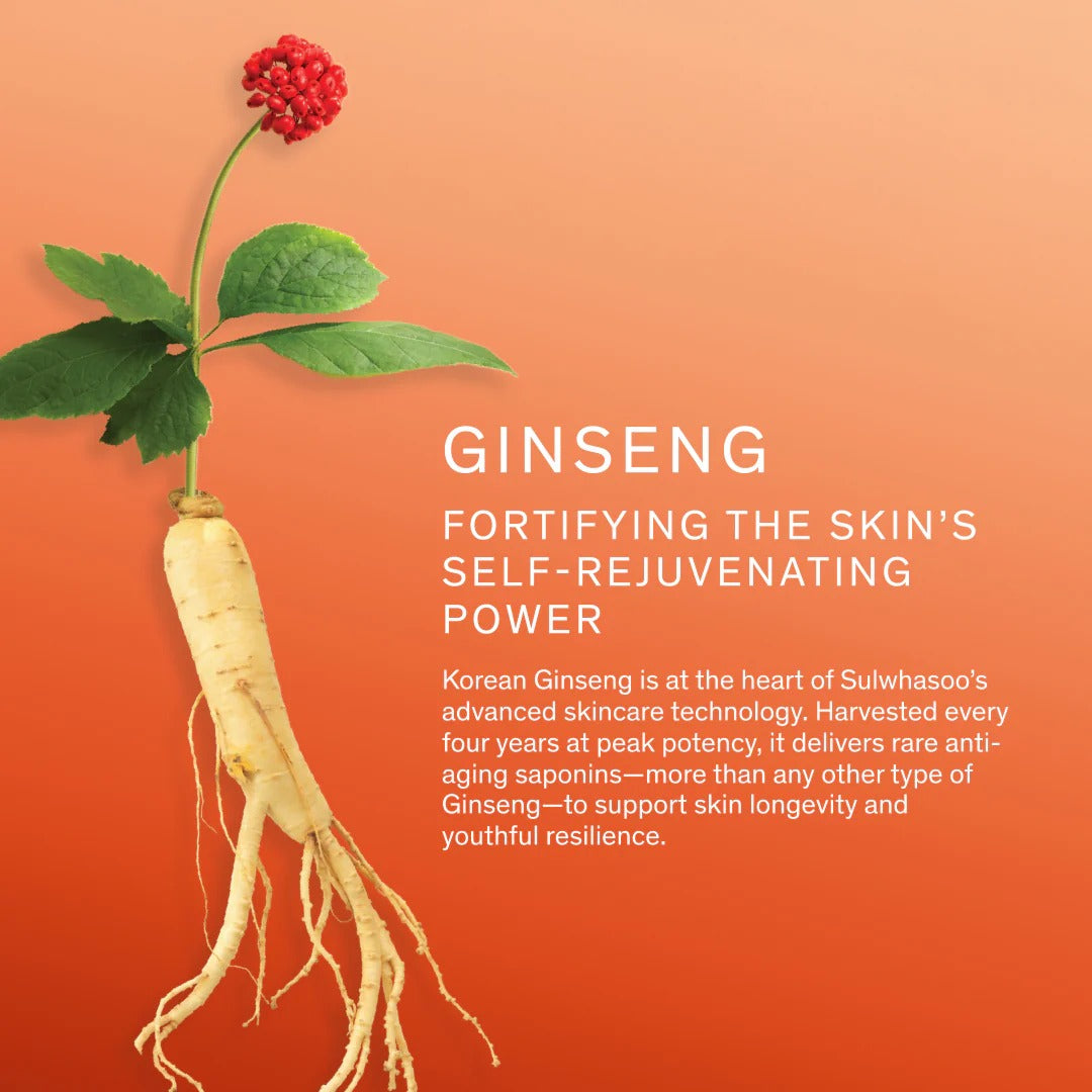 Concentrated Ginseng Rejuvenating Cream  (1.69 fl. oz. / 50mL)